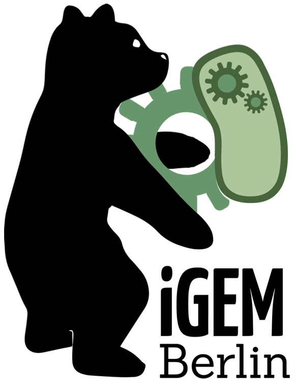 IGEM Bär.png