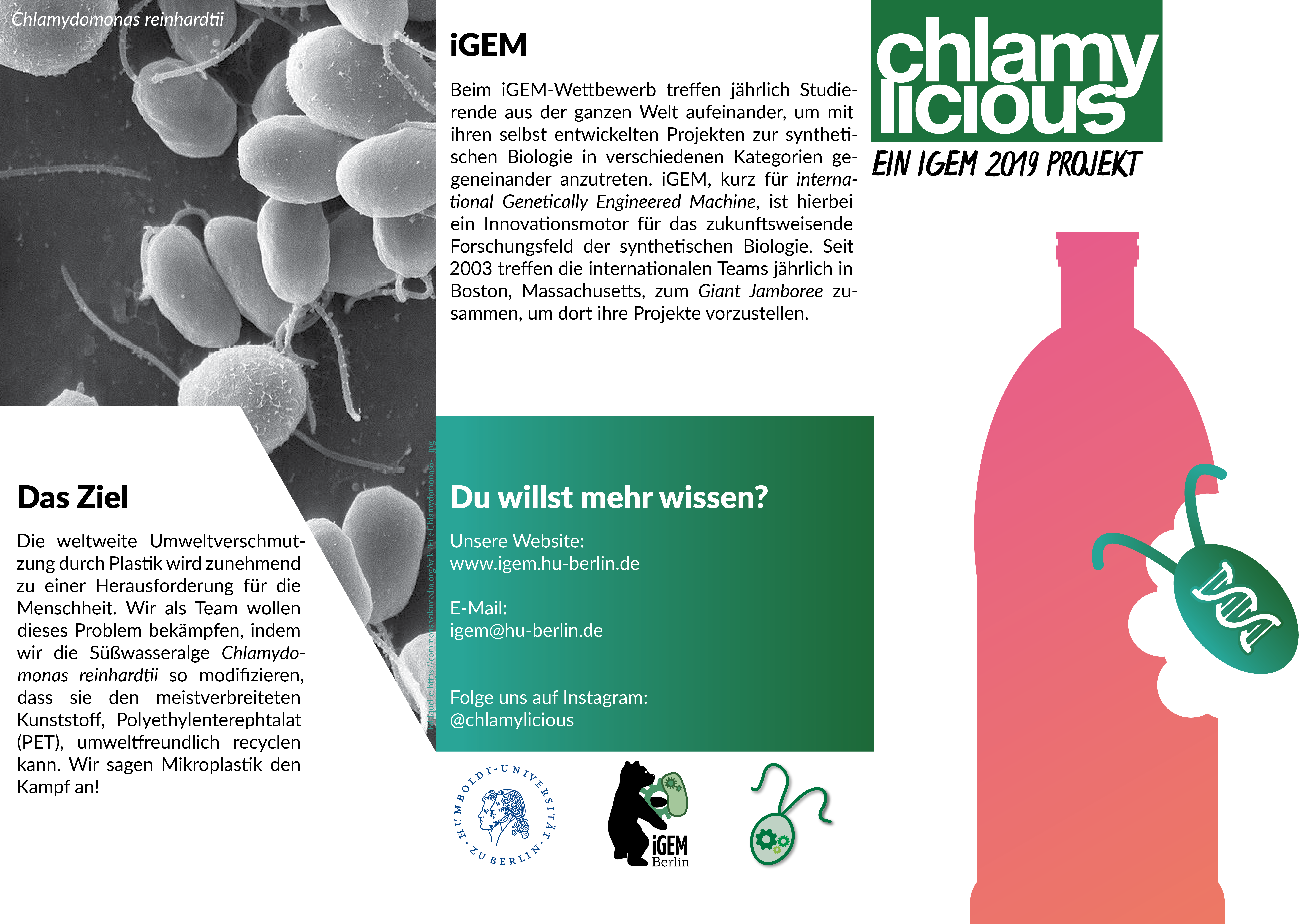 flayer_igem19_01-de.png